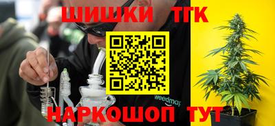 гидра Кинель